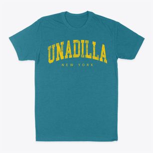 Unadilla New York Urban Vibe Classic Dad T-Shirt