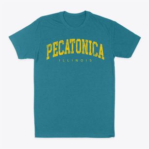 Pecatonica Illinois Urban Vibe Classic Dad T-Shirt