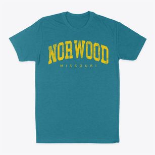 Norwood Missouri Urban Vibe Classic Dad T-Shirt