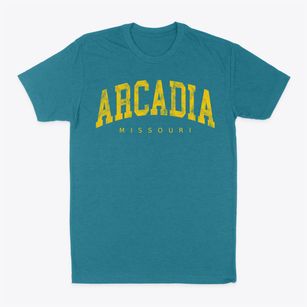 Arcadia Missouri Urban Vibe Classic Dad T-Shirt