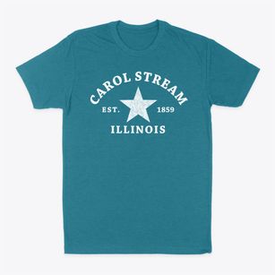 Carol Stream Illinois Star Classic Dad T-Shirt
