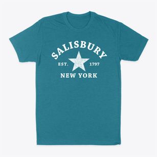 Salisbury New York Star Classic Dad T-Shirt