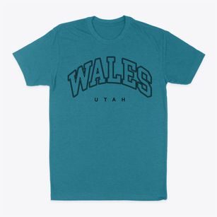 Wales Utah Inline Classic Dad T-Shirt