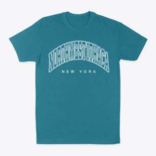 Northwest Ithaca New York Inline Classic Dad T-Shirt