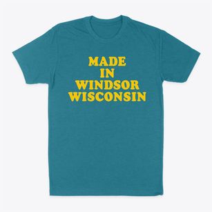 Windsor Wisconsin Classic 70s Classic Dad T-Shirt