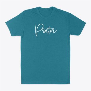 Prater Missouri Freestyle Classic Dad T-Shirt