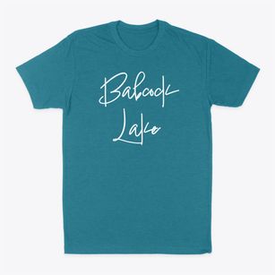 Babcock Lake New York Freestyle Classic Dad T-Shirt