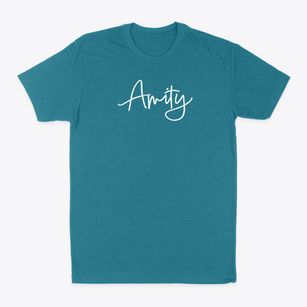 Amity Missouri Freestyle Classic Dad T-Shirt