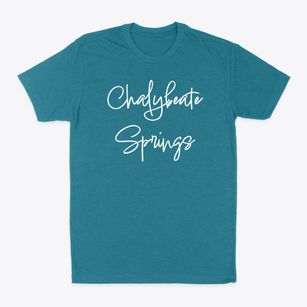 Chalybeate Springs North Carolina Freestyle Classic Dad T-Shirt