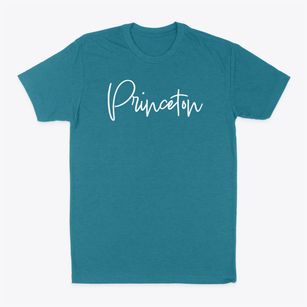Princeton Illinois Freestyle Classic Dad T-Shirt