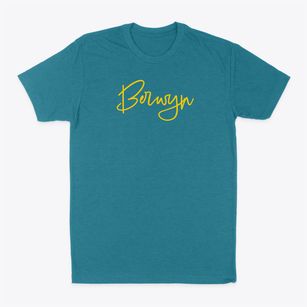 Berwyn New York Freestyle Classic Dad T-Shirt