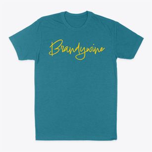 Brandywine Delaware Freestyle Classic Dad T-Shirt