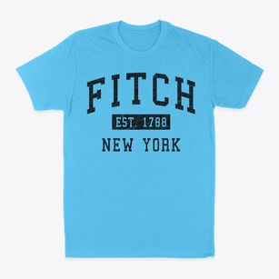 Fitch New York Classic Established Classic Dad T-Shirt