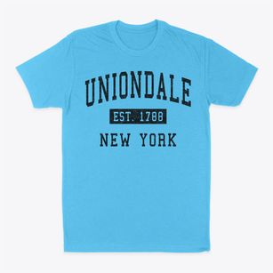 Uniondale New York Classic Established Classic Dad T-Shirt