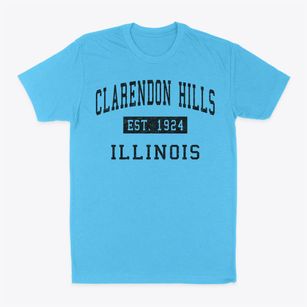 Clarendon Hills Illinois Classic Established Classic Dad T-Shirt