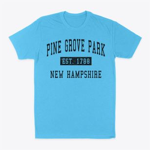 Pine Grove Park New Hampshire Classic Established Classic Dad T-Shirt