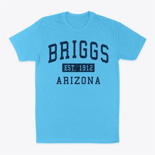 Briggs Arizona Classic Established Classic Dad T-Shirt
