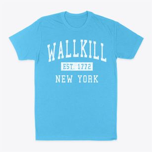 Wallkill New York Classic Established Classic Dad T-Shirt