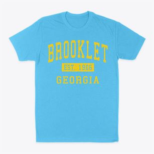 Brooklet Georgia Classic Established Classic Dad T-Shirt