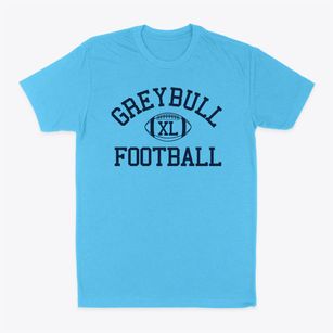 Greybull Classic Football Classic Dad T-Shirt