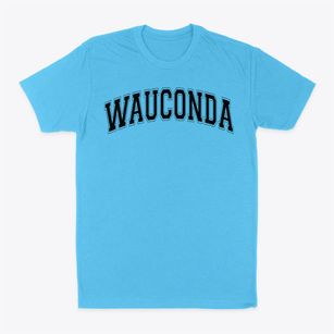 Wauconda High School Varsity Arch Classic Dad T-Shirt