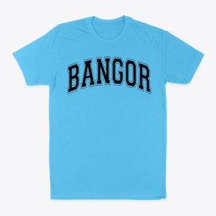 Bangor Christian School Varsity Arch Classic Dad T-Shirt