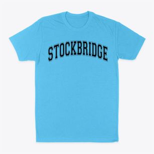 Stockbridge Plain School Varsity Arch Classic Dad T-Shirt