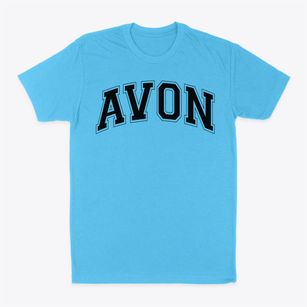 Avon Elementary School Varsity Arch Classic Dad T-Shirt