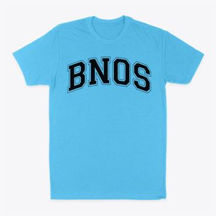 Bnos Bais Yaakov Elementary School Varsity Arch Classic Dad T-Shirt