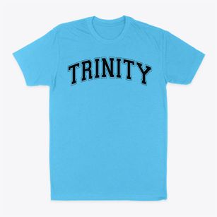 Trinity Christian Academy Varsity Arch Classic Dad T-Shirt