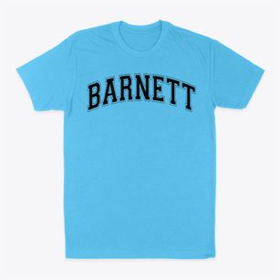 Barnett Junior High School Varsity Arch Classic Dad T-Shirt