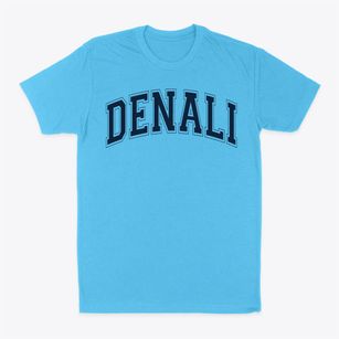 Denali Elementary School Varsity Arch Classic Dad T-Shirt