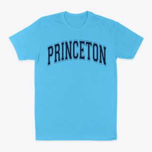 Princeton Elementary School Varsity Arch Classic Dad T-Shirt