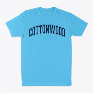 Cottonwood Elementary School Varsity Arch Classic Dad T-Shirt
