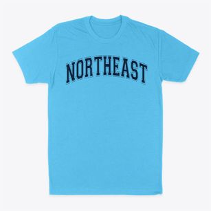Northeast High School Varsity Arch Classic Dad T-Shirt