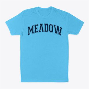 Meadow Elementary School Varsity Arch Classic Dad T-Shirt