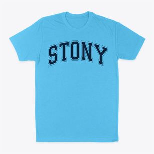 Stony Fork Mennonite School Varsity Arch Classic Dad T-Shirt