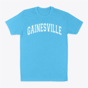 Gainesville High School Varsity Arch Classic Dad T-Shirt