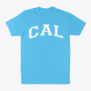 Christian Academy Of Louisville Varsity Arch Classic Dad T-Shirt
