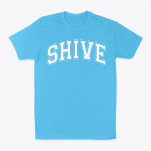 Shive Elementary Varsity Arch Classic Dad T-Shirt