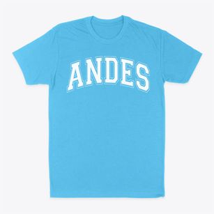 Andes High School Varsity Arch Classic Dad T-Shirt