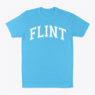 Flint Academy Varsity Arch Classic Dad T-Shirt