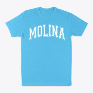 Moises Molina High School Varsity Arch Classic Dad T-Shirt
