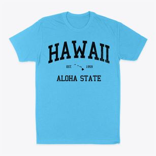  Hawaii Slogan Classic Dad T-Shirt