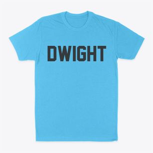 Dwight Illinois Classic Block Classic Dad T-Shirt