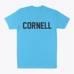 Cornell Wisconsin Classic Block Classic Dad T-Shirt