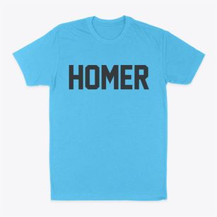 Homer Illinois Classic Block Classic Dad T-Shirt