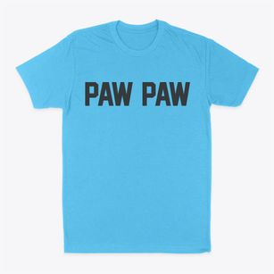 Paw Paw Illinois Classic Block Classic Dad T-Shirt