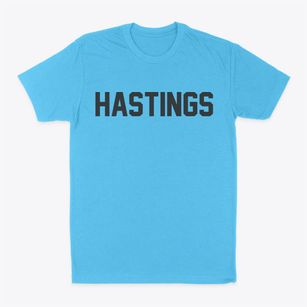 Hastings Michigan Classic Block Classic Dad T-Shirt