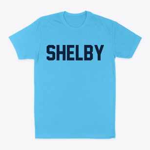 Shelby New York Classic Block Classic Dad T-Shirt